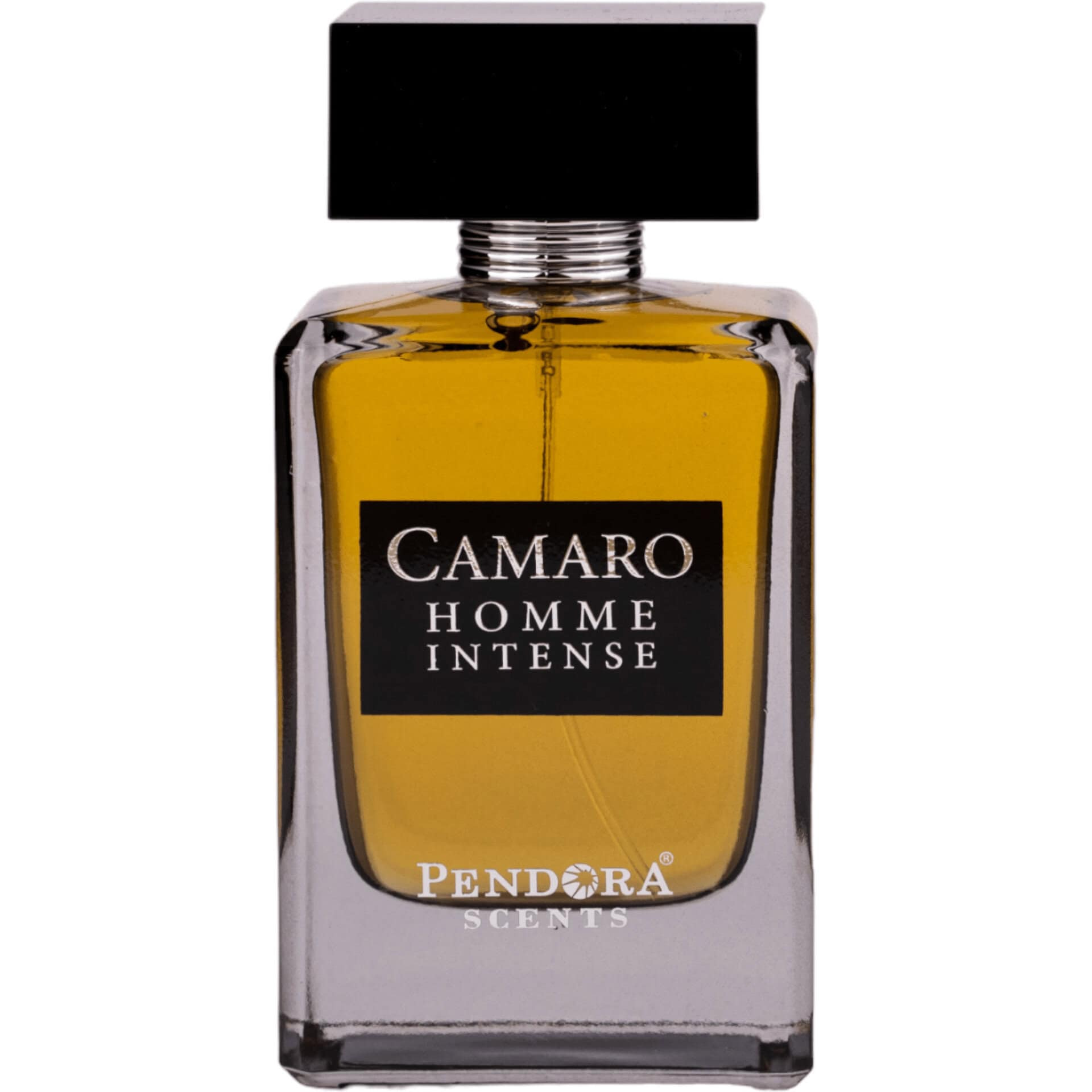 Pendora Scents Camaro Homme Intense, Apă de parfum, Bărbați, 100ml
